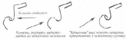 ОСВОБОЖДЕНИЕ ГОЛОСА