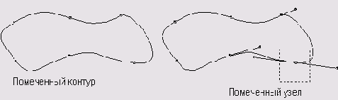     FreeHand 9.0
