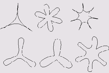     FreeHand 9.0
