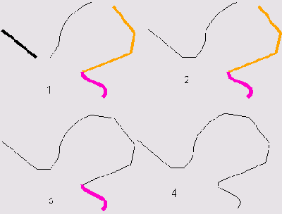     FreeHand 9.0
