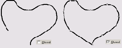     FreeHand 9.0
