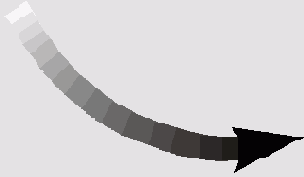     FreeHand 9.0
