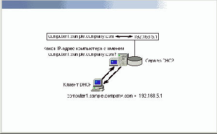   DNS