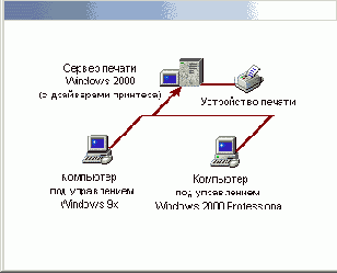 Windows 2000    