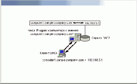   DNS