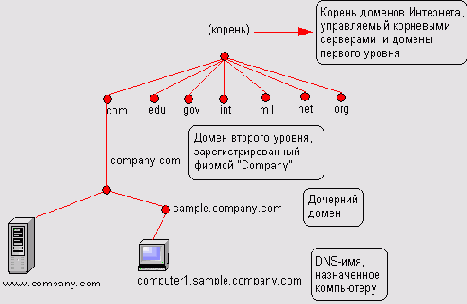   DNS 